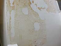 Decorating Repairs - Wall in Covent Garden WC2 with damp.
