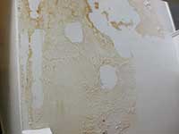Decorating Repairs - Wall in Covent Garden WC2 with damp. Decorating Repairs - Wall in Covent Garden WC2 with damp.