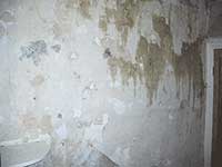 Professional wallpaper stripping services Professional wallpaper stripping services